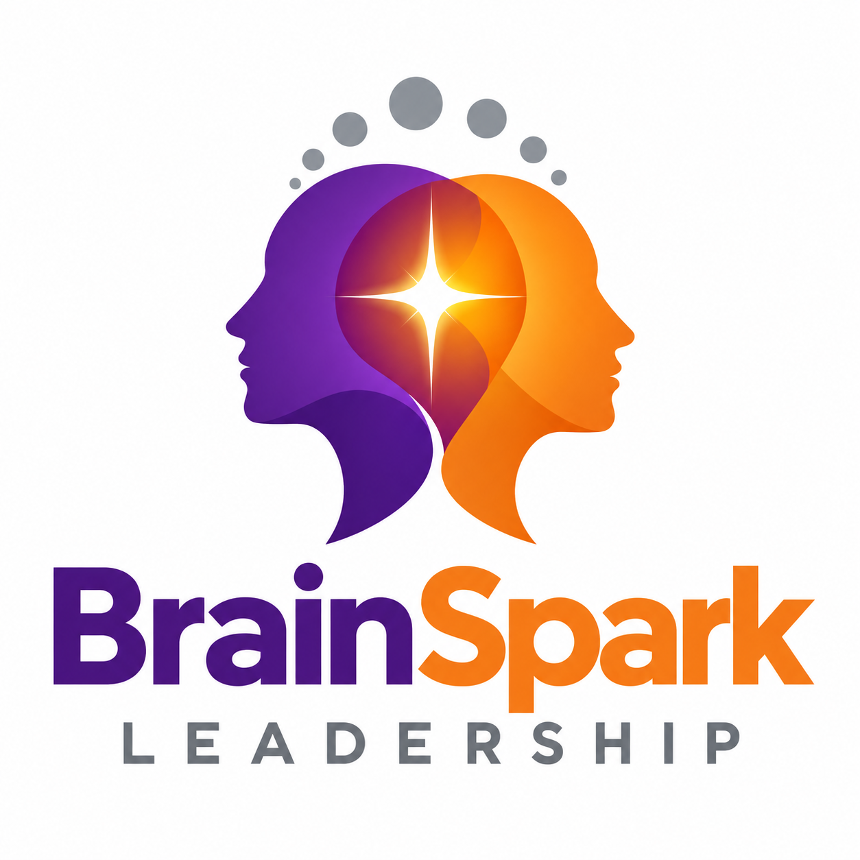 BrainSpark Leadership